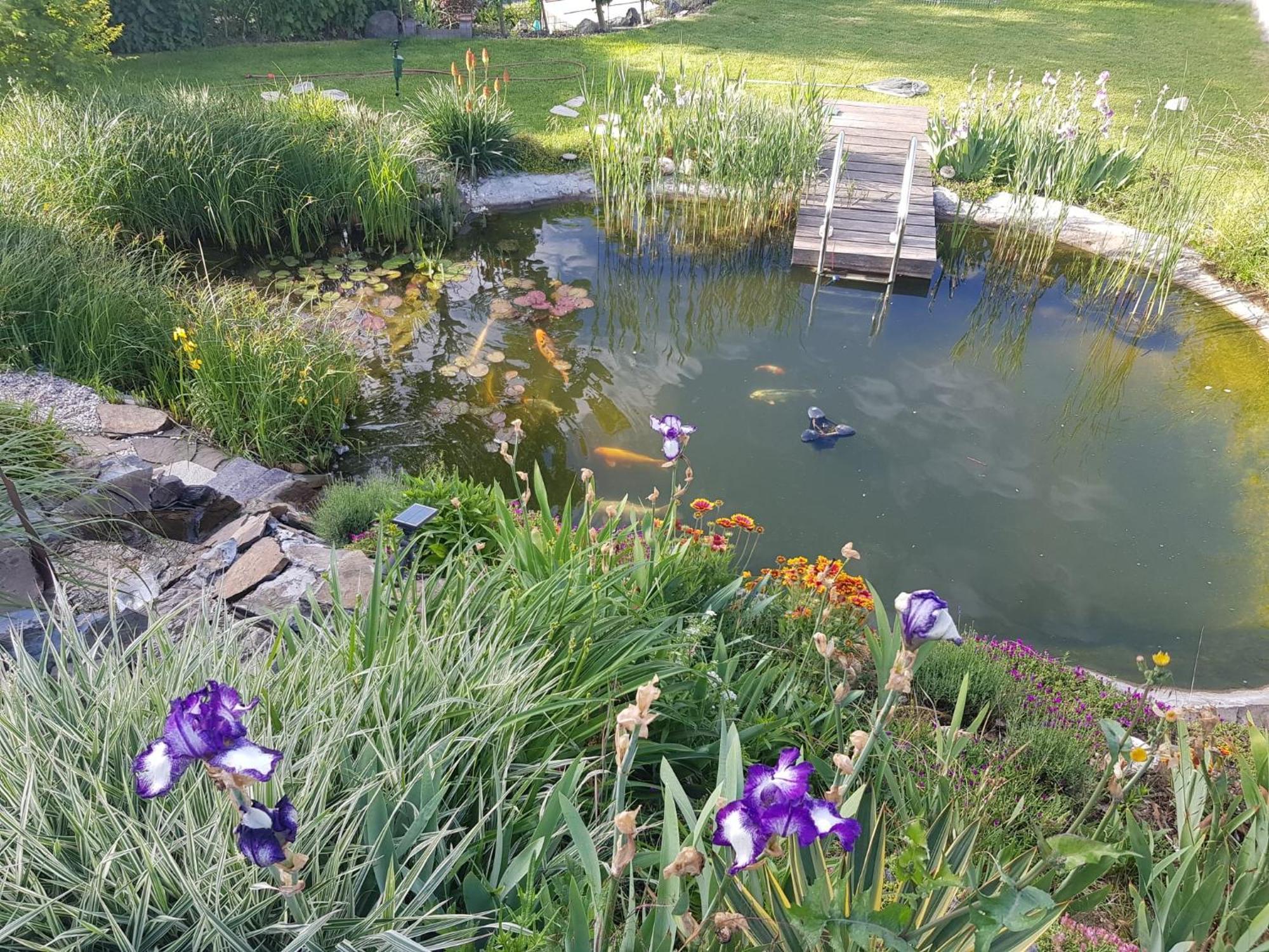 Wohlfuehlen Am Gartenteich Oberzissen Zewnętrze zdjęcie
